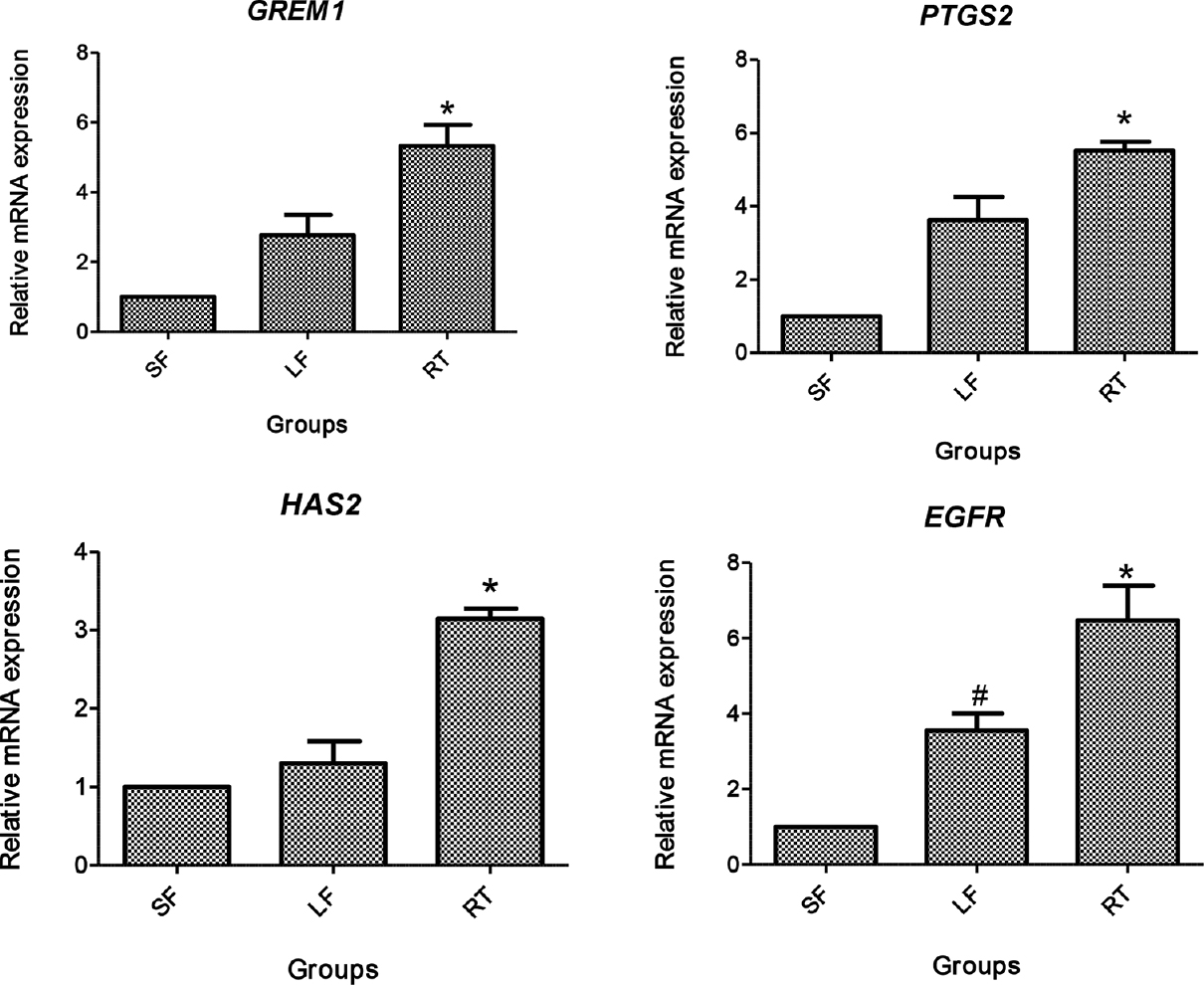 Relative gene expression of GREM1, PTGS2, HAS2 and epidermal growth factor receptor (EGFR) in cumulus cells. SF, small follicle derived; LF, large follicle derived; RT, roscovitine treated. *P<0.05 compared to SF and LF; #P<0.05 compared to SF.